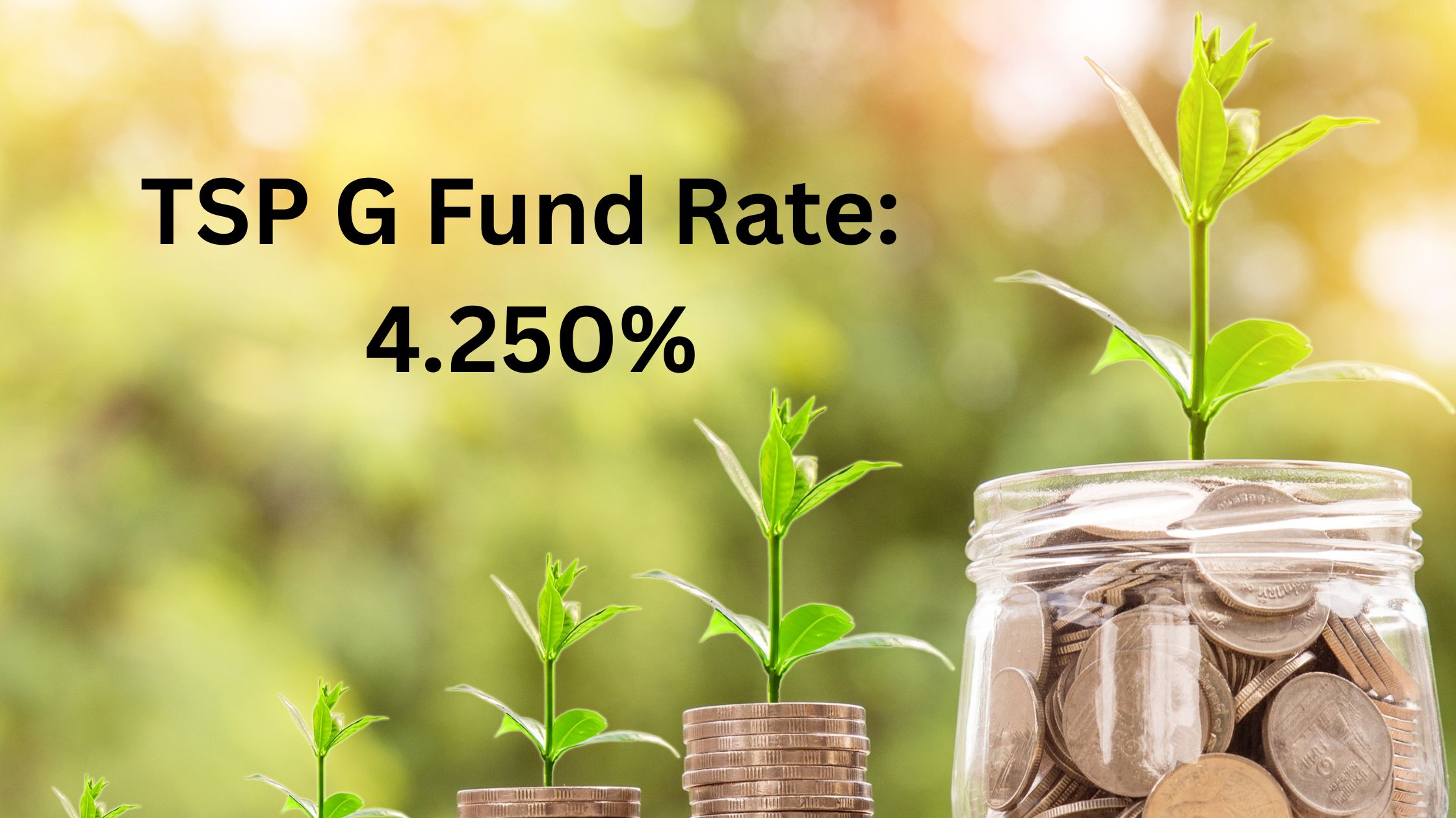 TSP Planner: November 2025 G Fund Rate Today