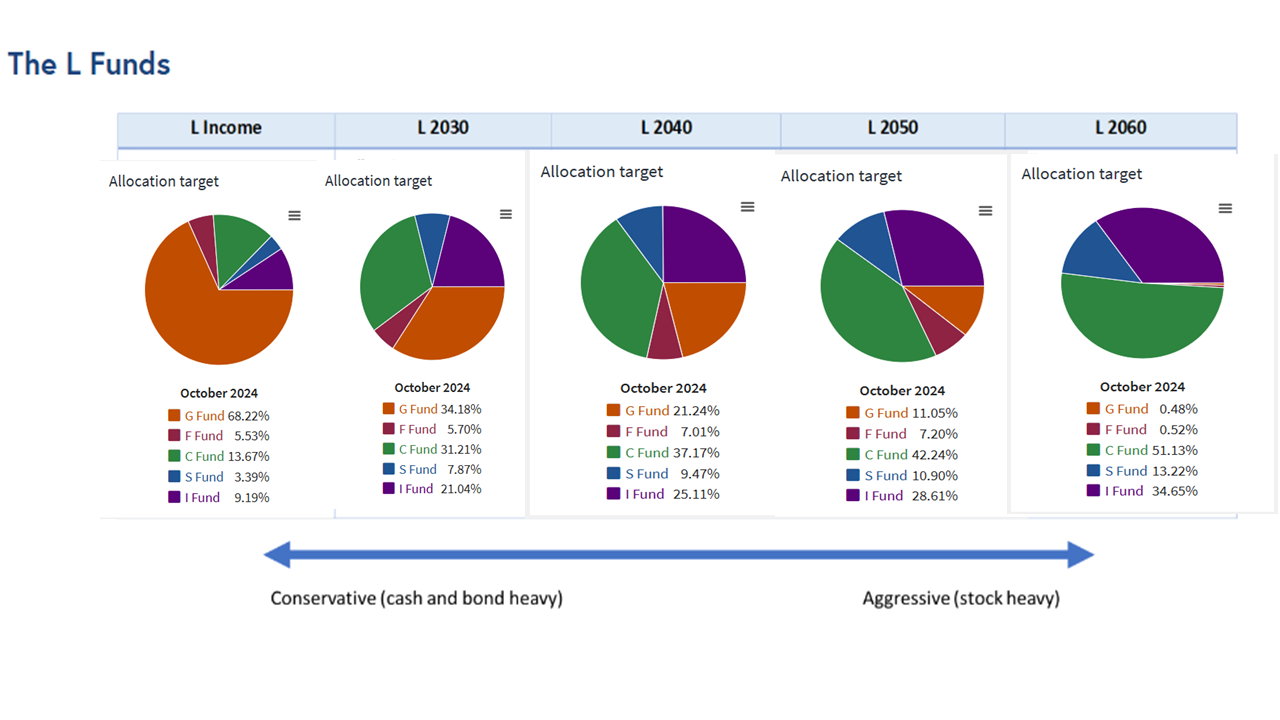 Lifecycle L Fund Infographic