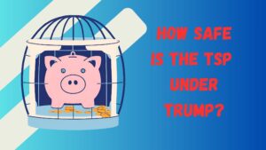 Is Your Money Safe in the TSP? Potential Problems with Thrift Savings Plan