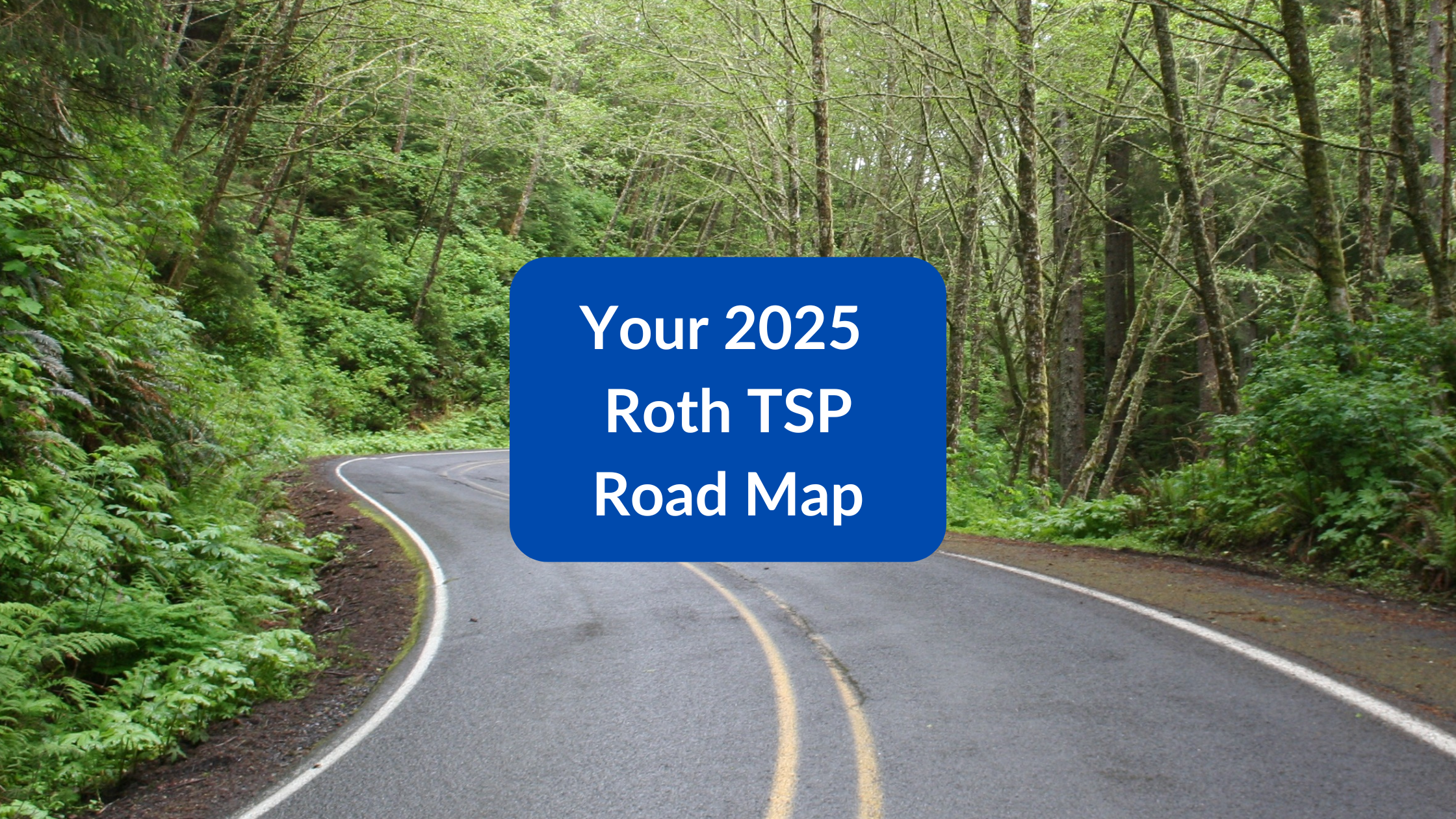 2025 Roth TSP Guide for Federal Employees